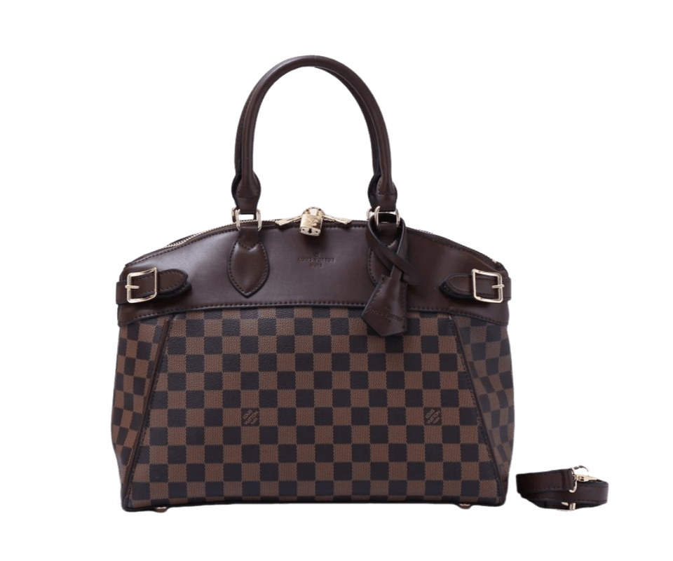 Louis Vuitton Louis Vuitton Bag — Accessories find on BoonBuy Finds