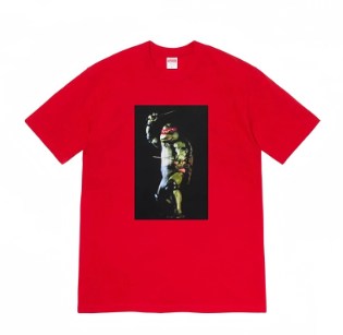 Supreme Supreme Tee — T-shirt and Shorts find on BoonBuy Finds