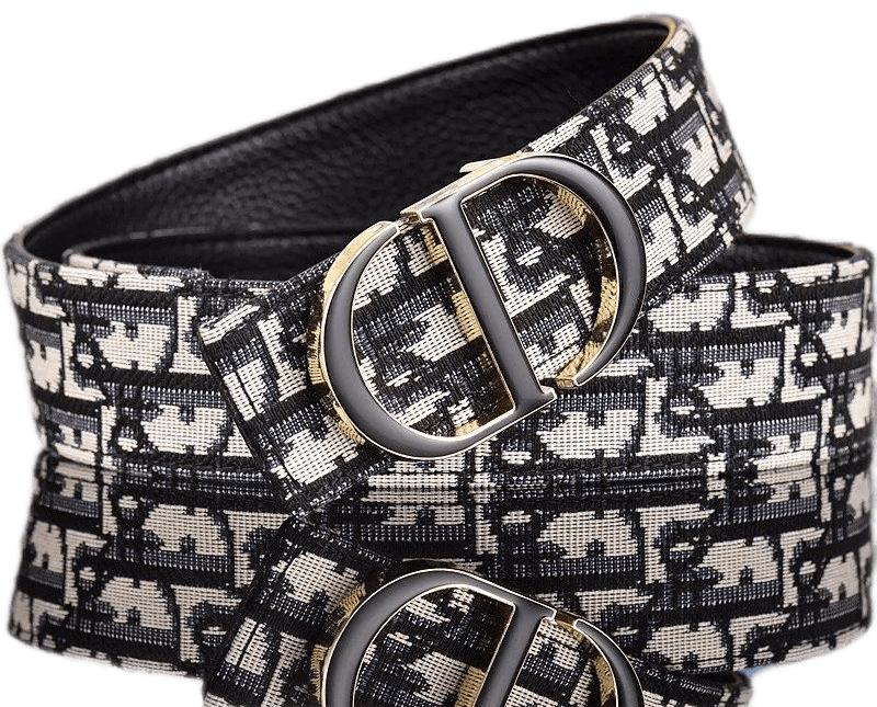 Dior Dior Belt — Trending Now find on BoonBuy Finds