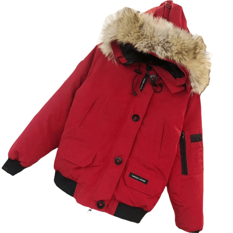 Canada Goose Canada Goose Down Jacket — Coats and Jackets find on BoonBuy Finds