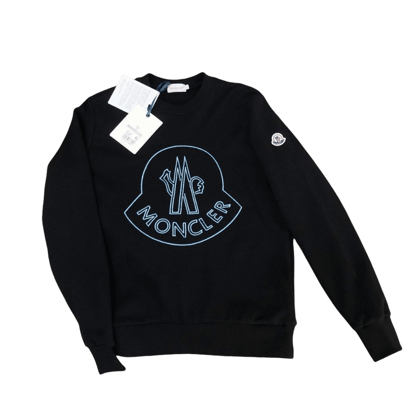 Moncler Moncler Hoodie — Hoodies and Pants find on BoonBuy Finds