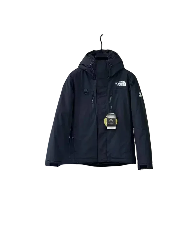 The North Face The North Face Down Jacket — Coats and Jackets find on BoonBuy Finds