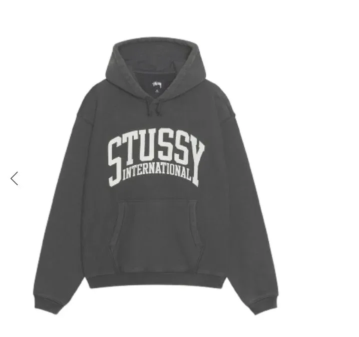 Stussy Stussy Hoodie — Trending Now find on BoonBuy Finds