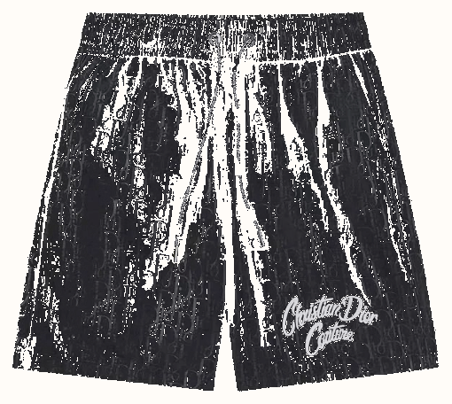 Dior Dior Shorts — Latest Finds find on BoonBuy Finds