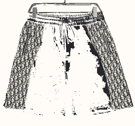 Dior Dior Shorts — Latest Finds find on BoonBuy Finds