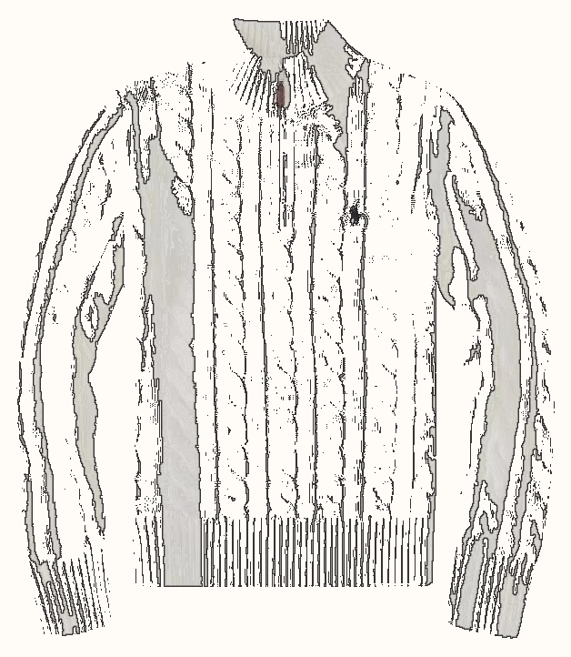 Ralph Lauren Ralph Lauren Sweater — Trending Now find on BoonBuy Finds