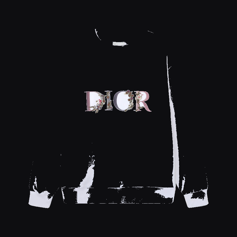Dior Dior Hoodie — Trending Now find on BoonBuy Finds