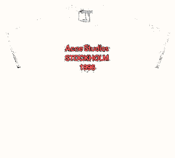 Acne Tee — BoonBuy Finds